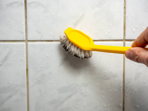 Best Fast Mold Removal  in Carson, WA